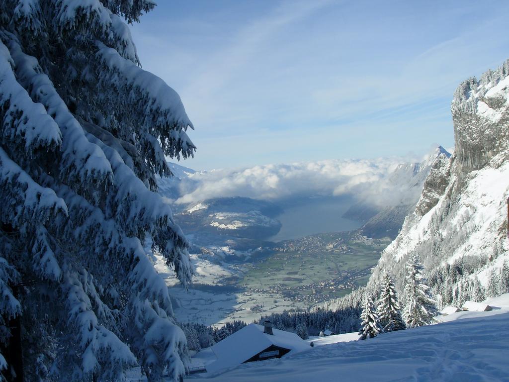 Studio Mythen Schwyz Exteriör bild