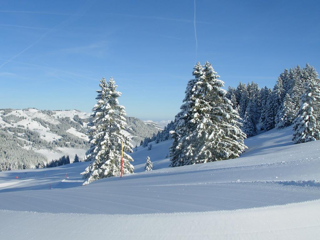 Studio Mythen Schwyz Exteriör bild