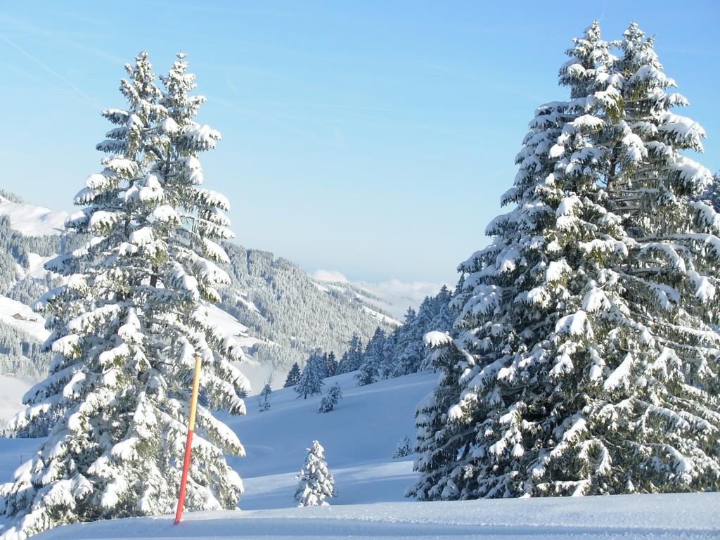 Studio Mythen Schwyz Exteriör bild
