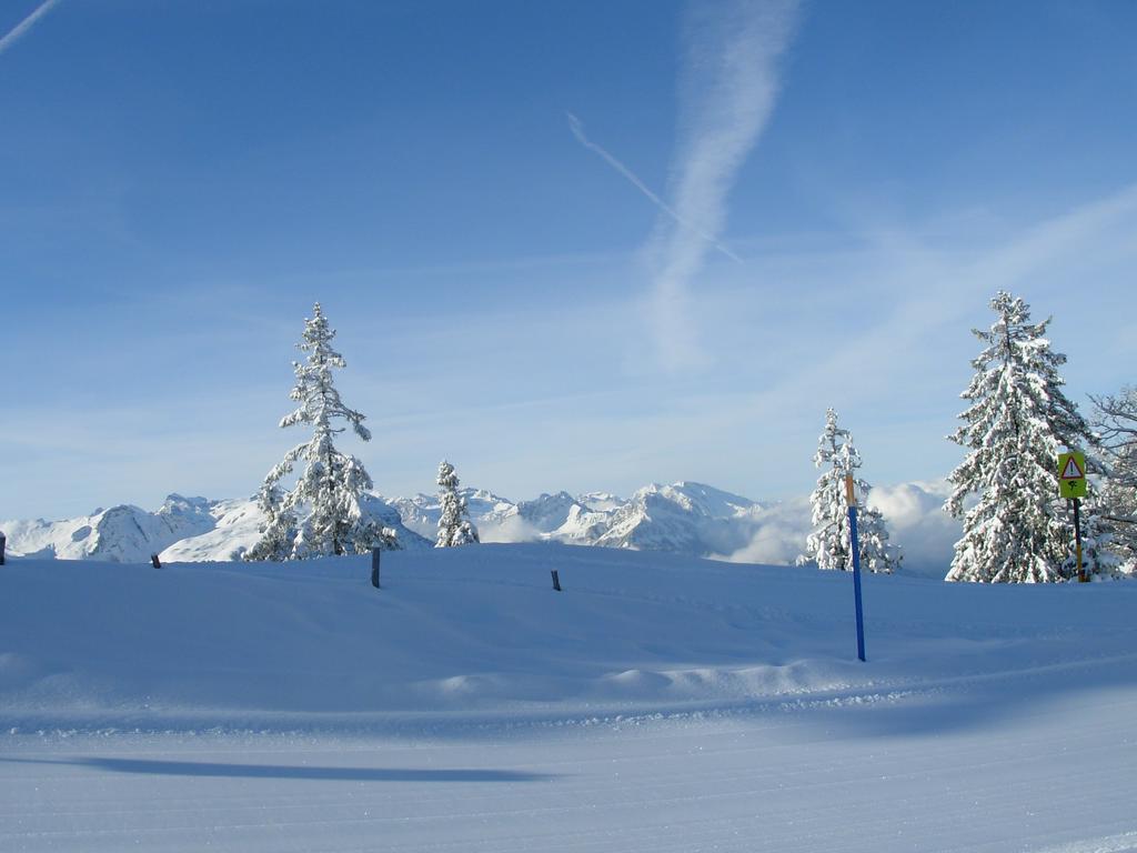 Studio Mythen Schwyz Exteriör bild