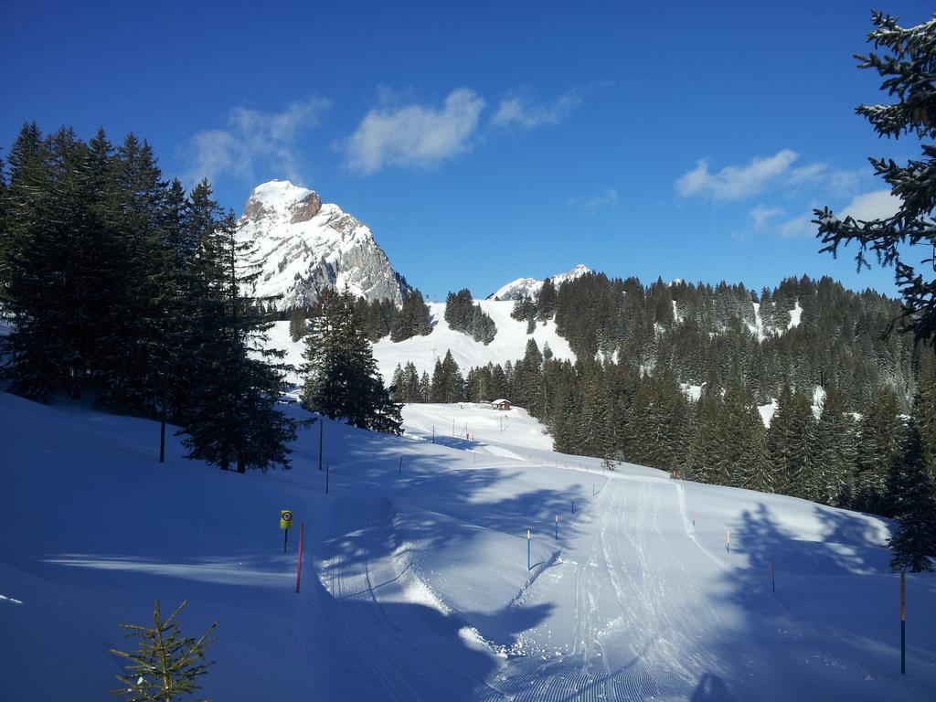 Studio Mythen Schwyz Rum bild