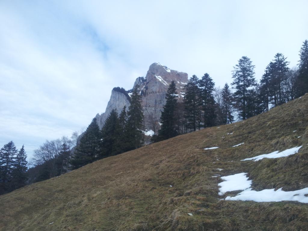 Studio Mythen Schwyz Exteriör bild
