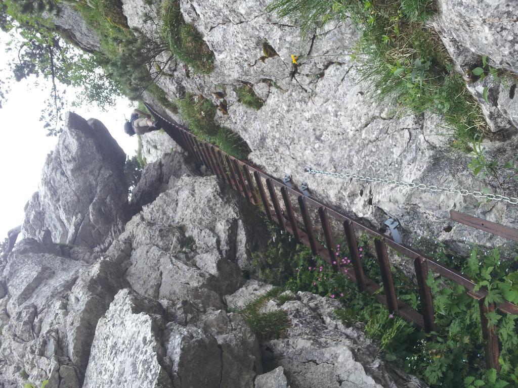 Studio Mythen Schwyz Exteriör bild
